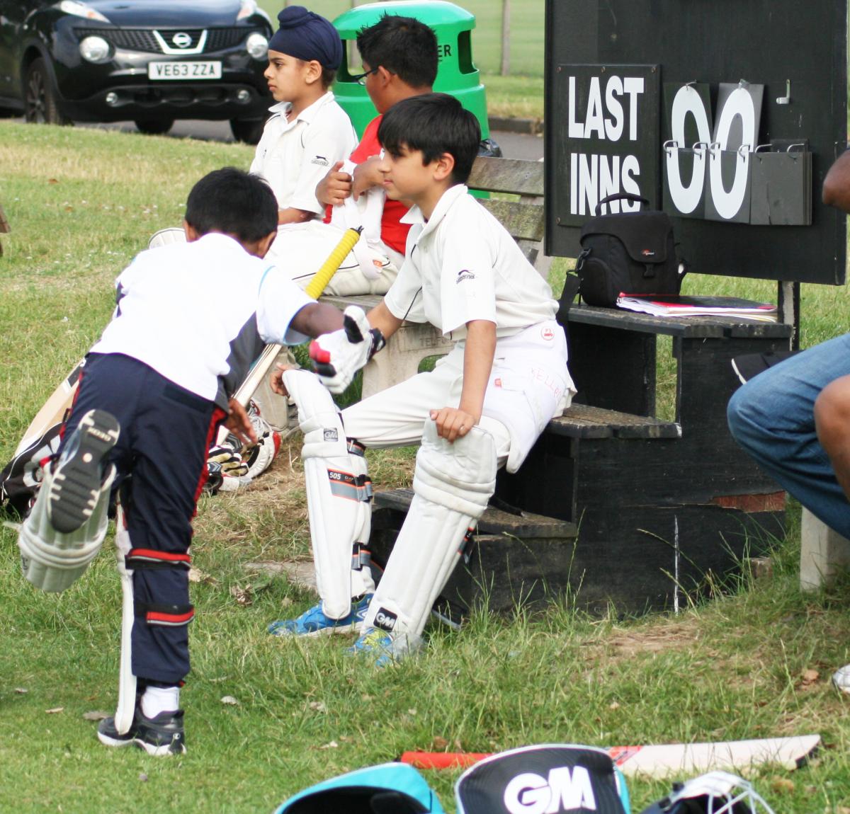 Summer Cricket Camp
